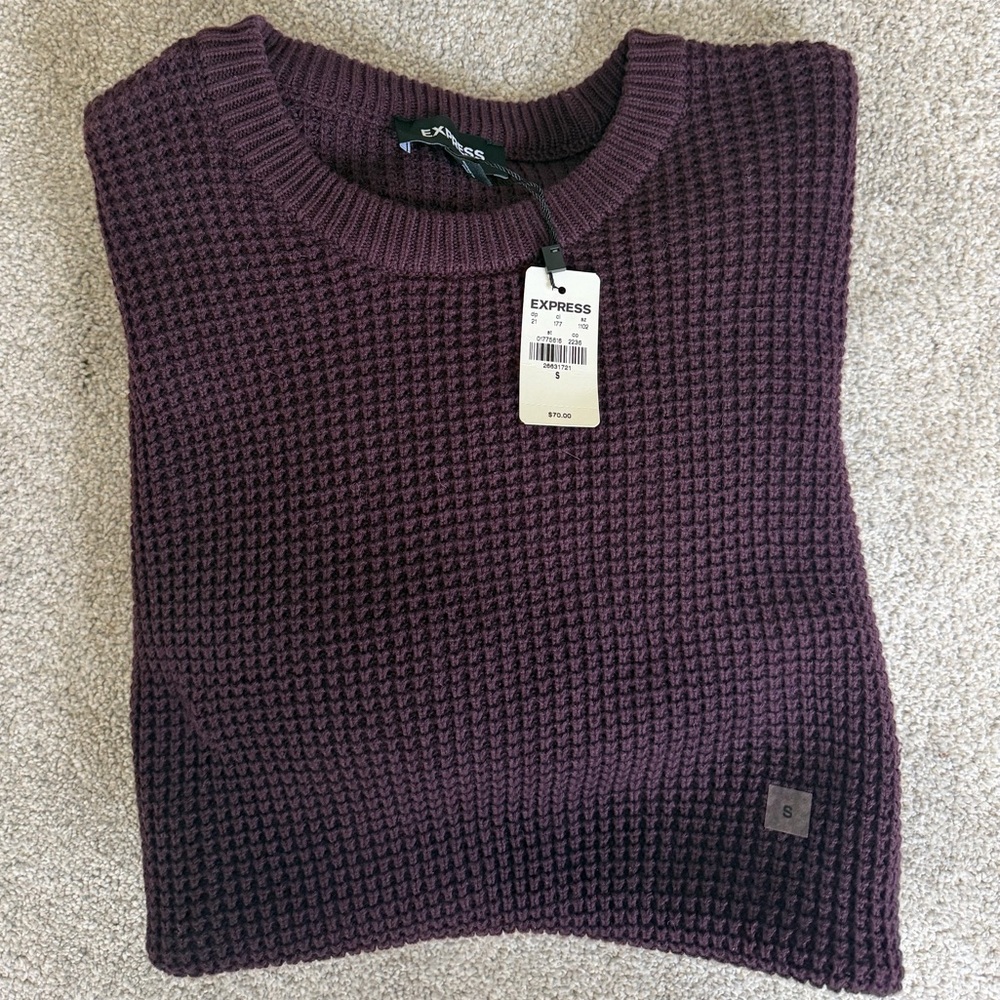 Express men Deep Purple Crew Neck Sweater